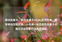 移动流量卡，移动流量卡9元300g官方办理，畅享移动互联生活，从选择一张合适的流量卡开始亿乐社区低价自营货源站