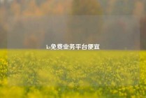 ks免费业务平台便宜