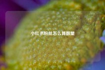 小红书粉丝怎么算数量
