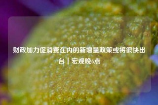 财政加力促消费在内的新增量政策或将很快出台｜宏观晚6点