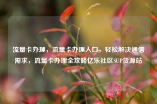 流量卡办理，流量卡办理入口，轻松解决通信需求，流量卡办理全攻略亿乐社区SUP货源站