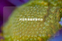 抖音免费播放量平台