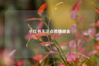 小红书关注点赞赚佣金