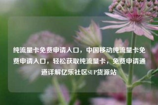 纯流量卡免费申请入口，中国移动纯流量卡免费申请入口，轻松获取纯流量卡，免费申请通道详解亿乐社区SUP货源站