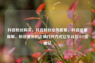 抖音粉丝购买，抖音粉丝业务套餐，抖音流量新解，粉丝增长的正确打开方式亿乐社区SUP货源站
