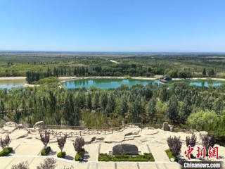 （铸牢共同体 中华一家亲）集西北雄奇、江南灵秀 宁夏白芨滩绘出治沙用沙新画卷