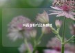抖音涨粉方法有哪些