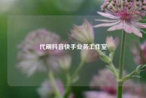 代刷抖音快手业务工作室