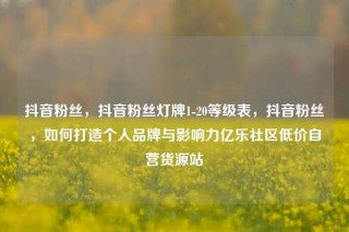 抖音粉丝，抖音粉丝灯牌1-20等级表，抖音粉丝，如何打造个人品牌与影响力亿乐社区低价自营货源站