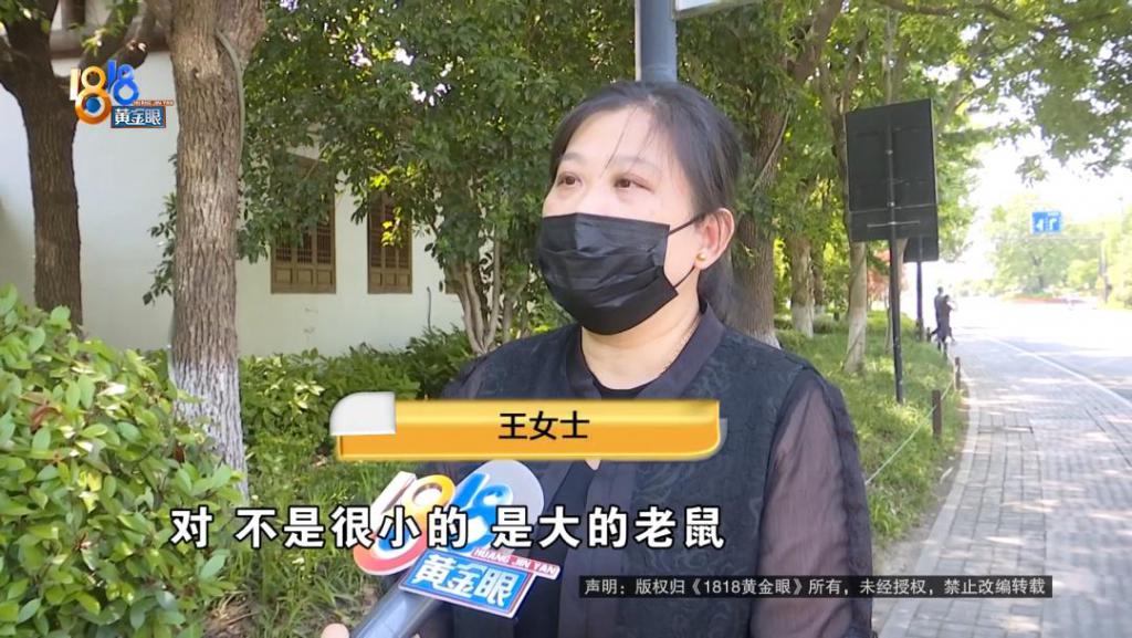 吃完饭一出包厢被大老鼠吓坏了，当事人：退一赔十  第1张