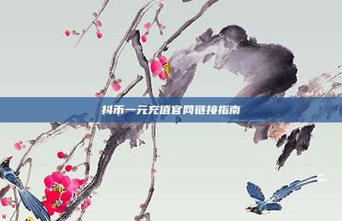 抖币一元充值官网链接指南  第1张