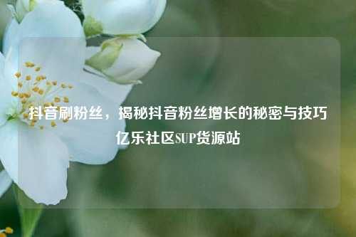 抖音刷粉丝，揭秘抖音粉丝增长的秘密与技巧亿乐社区SUP货源站  第1张