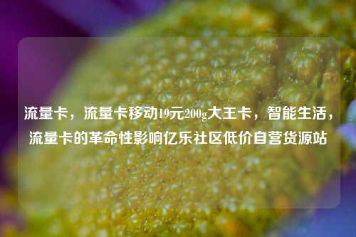 流量卡，流量卡移动19元200g大王卡，智能生活	，流量卡的革命性影响亿乐社区低价自营货源站  第1张
