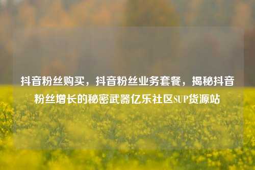 抖音粉丝购买，抖音粉丝业务套餐，揭秘抖音粉丝增长的秘密武器亿乐社区SUP货源站  第1张