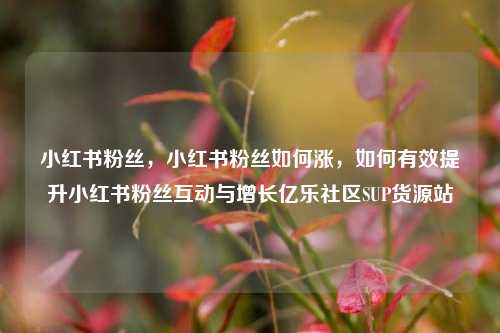小红书粉丝，小红书粉丝如何涨，如何有效提升小红书粉丝互动与增长亿乐社区SUP货源站  第1张