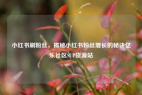 小红书刷粉丝，揭秘小红书粉丝增长的秘诀亿乐社区SUP货源站  第1张