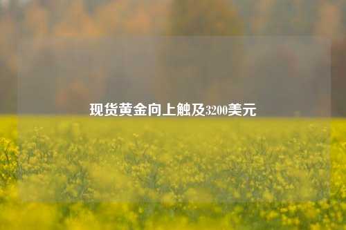 现货黄金向上触及3200美元  第1张