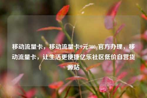移动流量卡，移动流量卡9元300g官方办理，移动流量卡	，让生活更便捷亿乐社区低价自营货源站  第1张