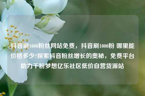 抖音刷1000粉丝网站免费，抖音刷1000粉 哪里能价格多少?探索抖音粉丝增长的奥秘，免费平台助力千粉梦想亿乐社区低价自营货源站  第1张