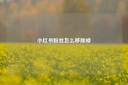 小红书粉丝怎么移除掉  第1张
