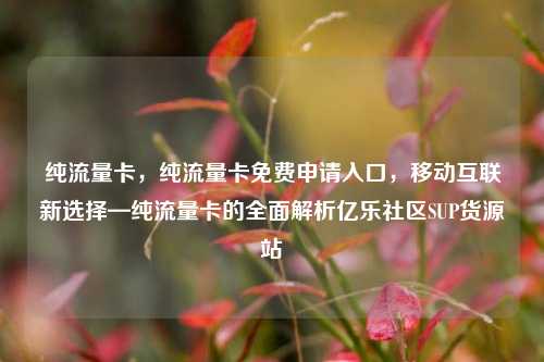 纯流量卡，纯流量卡免费申请入口，移动互联新选择—纯流量卡的全面解析亿乐社区SUP货源站  第1张