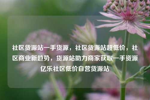 社区货源站一手货源，社区货源站超低价，社区商业新趋势	，货源站助力商家获取一手资源亿乐社区低价自营货源站  第1张