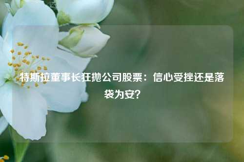 特斯拉董事长狂抛公司股票：信心受挫还是落袋为安？  第1张