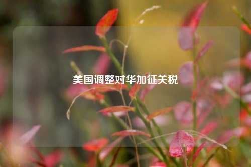 美国调整对华加征关税  第1张