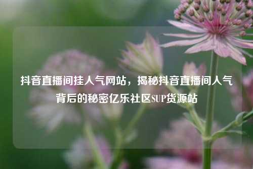 抖音直播间挂人气网站，揭秘抖音直播间人气背后的秘密亿乐社区SUP货源站  第1张