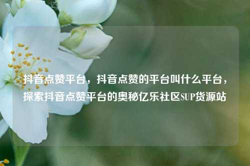 抖音点赞平台	，抖音点赞的平台叫什么平台，探索抖音点赞平台的奥秘亿乐社区SUP货源站  第1张