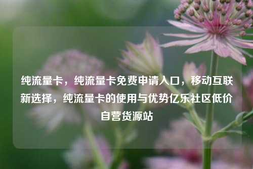 纯流量卡，纯流量卡免费申请入口	，移动互联新选择，纯流量卡的使用与优势亿乐社区低价自营货源站  第1张