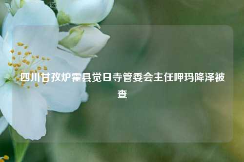 四川甘孜炉霍县觉日寺管委会主任呷玛降泽被查  第1张