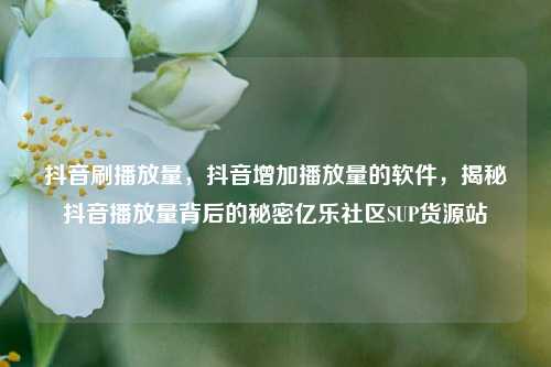 抖音刷播放量，抖音增加播放量的软件，揭秘抖音播放量背后的秘密亿乐社区SUP货源站  第1张