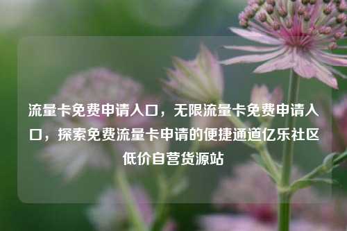 流量卡免费申请入口，无限流量卡免费申请入口，探索免费流量卡申请的便捷通道亿乐社区低价自营货源站  第1张