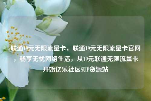 联通19元无限流量卡，联通19元无限流量卡官网，畅享无忧网络生活	，从19元联通无限流量卡开始亿乐社区SUP货源站  第1张