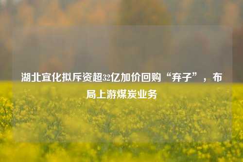 湖北宜化拟斥资超32亿加价回购“弃子”	，布局上游煤炭业务  第1张