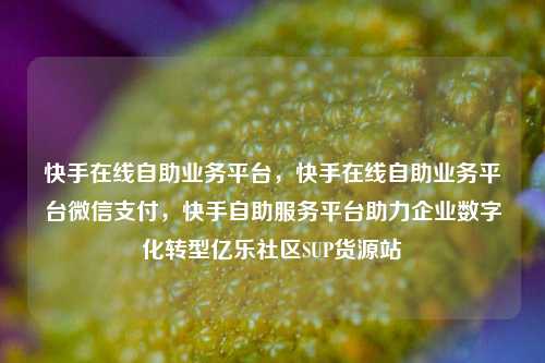 快手在线自助业务平台，快手在线自助业务平台微信支付	，快手自助服务平台助力企业数字化转型亿乐社区SUP货源站  第1张