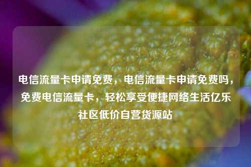 电信流量卡申请免费，电信流量卡申请免费吗	，免费电信流量卡，轻松享受便捷网络生活亿乐社区低价自营货源站  第1张