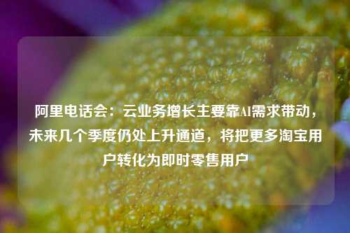 阿里电话会：云业务增长主要靠AI需求带动，未来几个季度仍处上升通道	，将把更多淘宝用户转化为即时零售用户  第1张