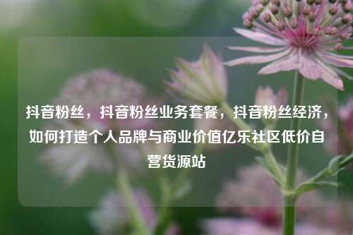 抖音粉丝，抖音粉丝业务套餐	，抖音粉丝经济，如何打造个人品牌与商业价值亿乐社区低价自营货源站  第1张