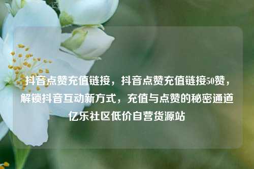 抖音点赞充值链接	，抖音点赞充值链接50赞，解锁抖音互动新方式，充值与点赞的秘密通道亿乐社区低价自营货源站  第1张