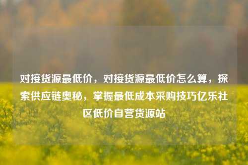 对接货源最低价，对接货源最低价怎么算，探索供应链奥秘	，掌握最低成本采购技巧亿乐社区低价自营货源站  第1张