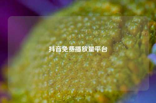 抖音免费播放量平台  第1张