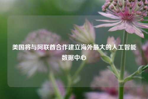 美国将与阿联酋合作建立海外最大的人工智能数据中心  第1张