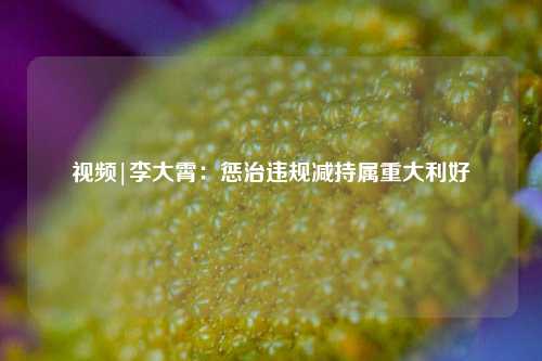 视频|李大霄：惩治违规减持属重大利好  第1张
