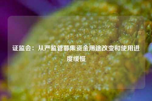 证监会：从严监管募集资金用途改变和使用进度缓慢  第1张
