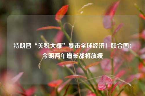 特朗普“关税大棒”暴击全球经济！联合国：今明两年增长都将放缓  第1张