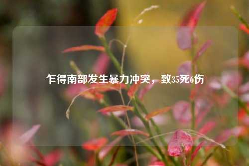 乍得南部发生暴力冲突，致35死6伤  第1张