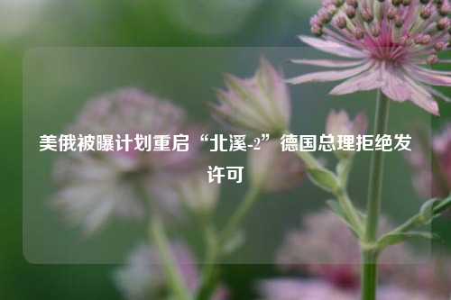 美俄被曝计划重启“北溪-2”德国总理拒绝发许可  第1张