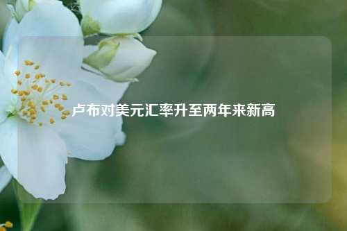 卢布对美元汇率升至两年来新高  第1张